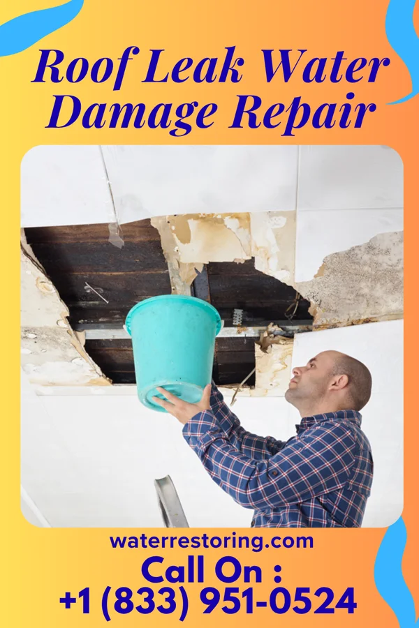 Roof Leak Water Damage Repair in Odin, IL