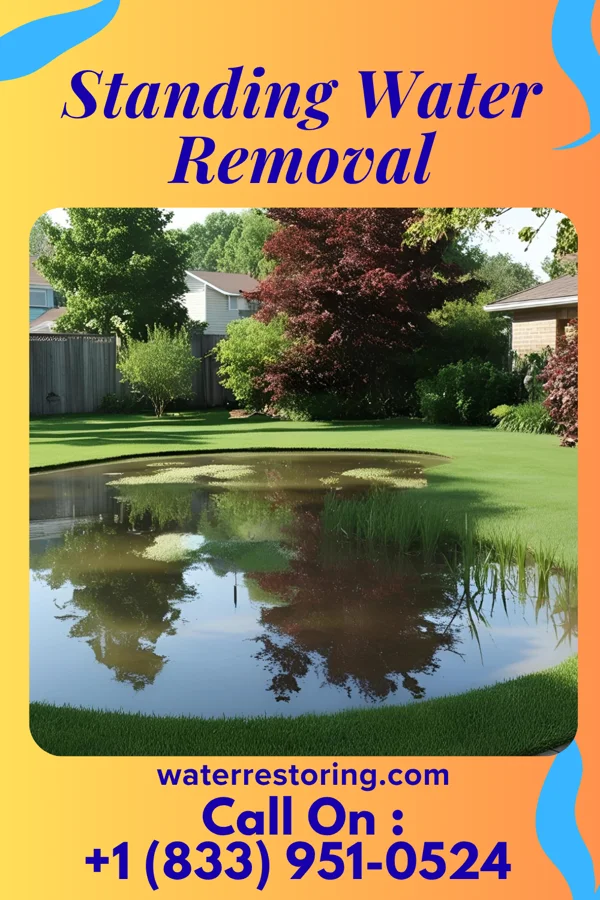 Standing Water Removal in Odin, IL